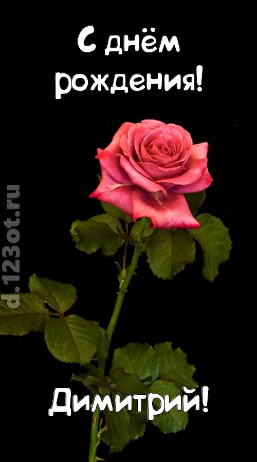 непредсказуемая открытка с днём рождения димитрий, скачать онлайн бесплатно на iphone для вацап, поздравление димитрий