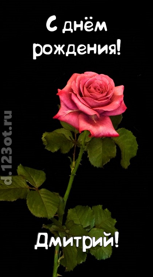 непредсказуемая открытка с днём рождения дмитрий, скачать онлайн бесплатно на iphone для вацап, поздравление дмитрий