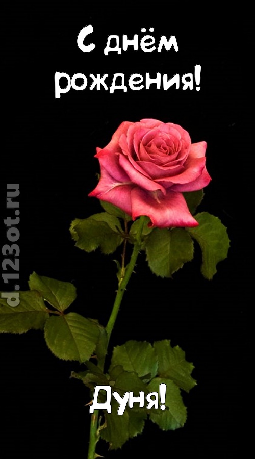 непредсказуемая открытка с днём рождения дуня, скачать онлайн бесплатно на iphone для вацап, поздравление дуня