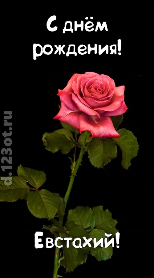 непредсказуемая открытка с днём рождения евстахий, скачать онлайн бесплатно на iphone для вацап, поздравление евстахий