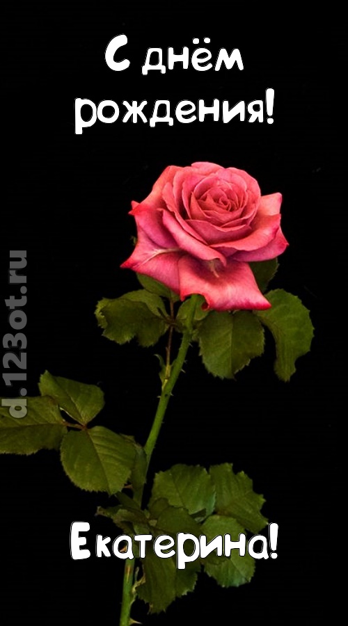 непредсказуемая открытка с днём рождения екатерина, скачать онлайн бесплатно на iphone для вацап, поздравление екатерина