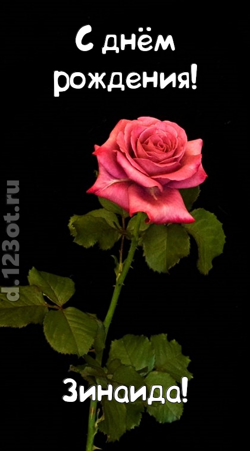 непредсказуемая открытка с днём рождения зинаида, скачать онлайн бесплатно на iphone для вацап, поздравление зинаида