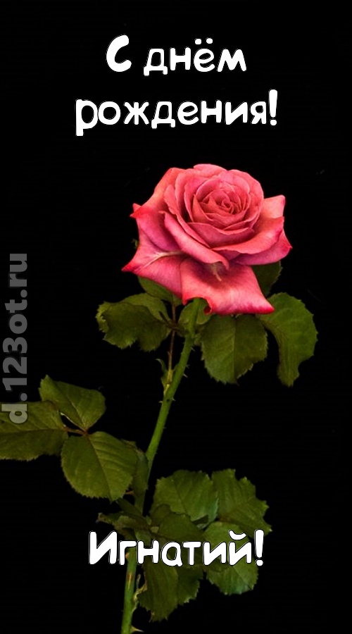 непредсказуемая открытка с днём рождения игнатий, скачать онлайн бесплатно на iphone для вацап, поздравление игнатий