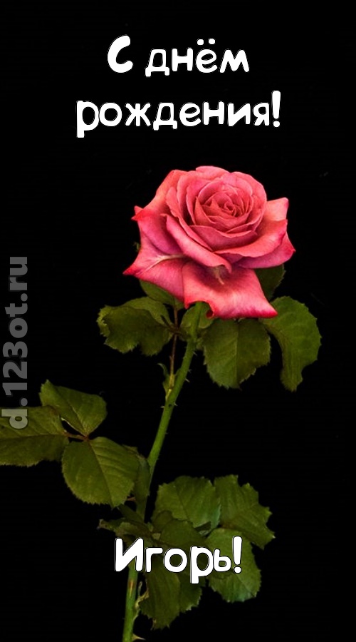 непредсказуемая открытка с днём рождения игорь, скачать онлайн бесплатно на iphone для вацап, поздравление игорь