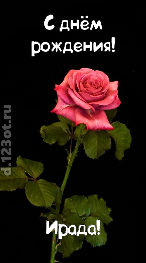 непредсказуемая открытка с днём рождения ирада, скачать онлайн бесплатно на iphone для вацап, поздравление ирада