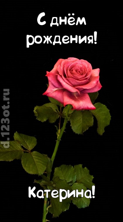 непредсказуемая открытка с днём рождения катерина, скачать онлайн бесплатно на iphone для вацап, поздравление катерина