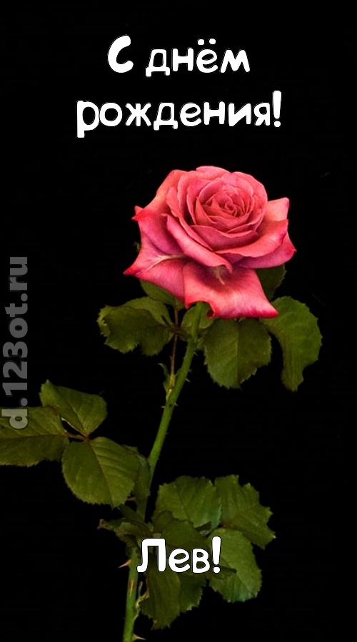 непредсказуемая открытка с днём рождения лев, скачать онлайн бесплатно на iphone для вацап, поздравление лев