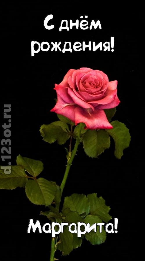 непредсказуемая открытка с днём рождения маргарита, скачать онлайн бесплатно на iphone для вацап, поздравление маргарита