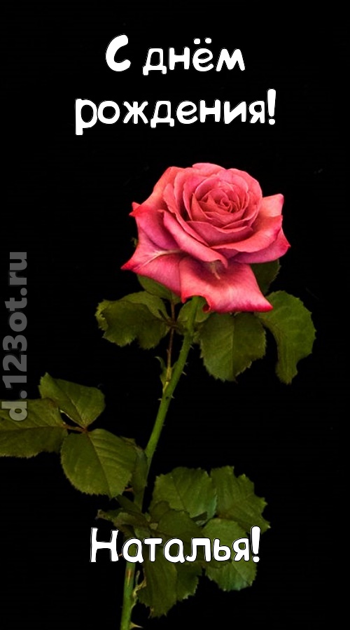 непредсказуемая открытка с днём рождения наталья, скачать онлайн бесплатно на iphone для вацап, поздравление наталья