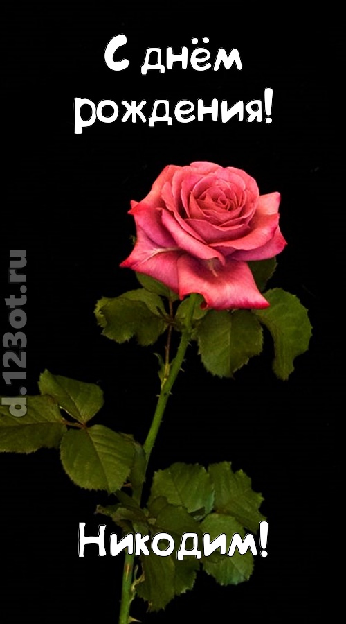 непредсказуемая открытка с днём рождения никодим, скачать онлайн бесплатно на iphone для вацап, поздравление никодим