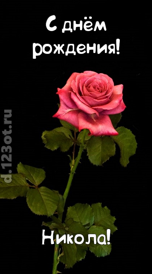 непредсказуемая открытка с днём рождения никола, скачать онлайн бесплатно на iphone для вацап, поздравление никола