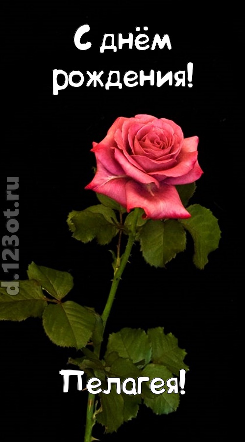непредсказуемая открытка с днём рождения пелагея, скачать онлайн бесплатно на iphone для вацап, поздравление пелагея