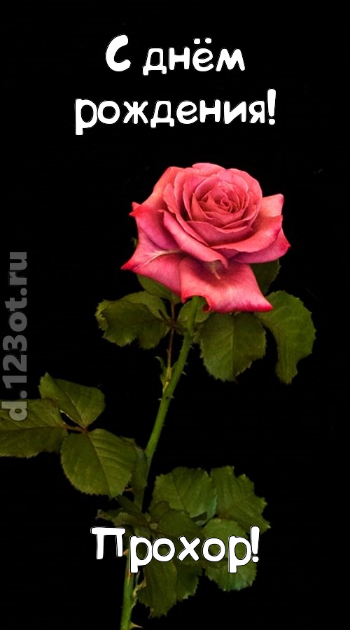 непредсказуемая открытка с днём рождения прохор, скачать онлайн бесплатно на iphone для вацап, поздравление прохор