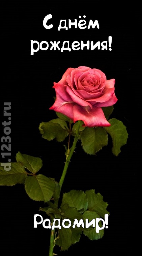 непредсказуемая открытка с днём рождения радомир, скачать онлайн бесплатно на iphone для вацап, поздравление радомир