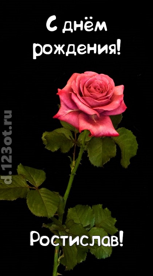 непредсказуемая открытка с днём рождения ростислав, скачать онлайн бесплатно на iphone для вацап, поздравление ростислав