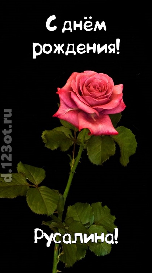 непредсказуемая открытка с днём рождения русалина, скачать онлайн бесплатно на iphone для вацап, поздравление русалина