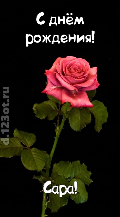 непредсказуемая открытка с днём рождения сара, скачать онлайн бесплатно на iphone для вацап, поздравление сара