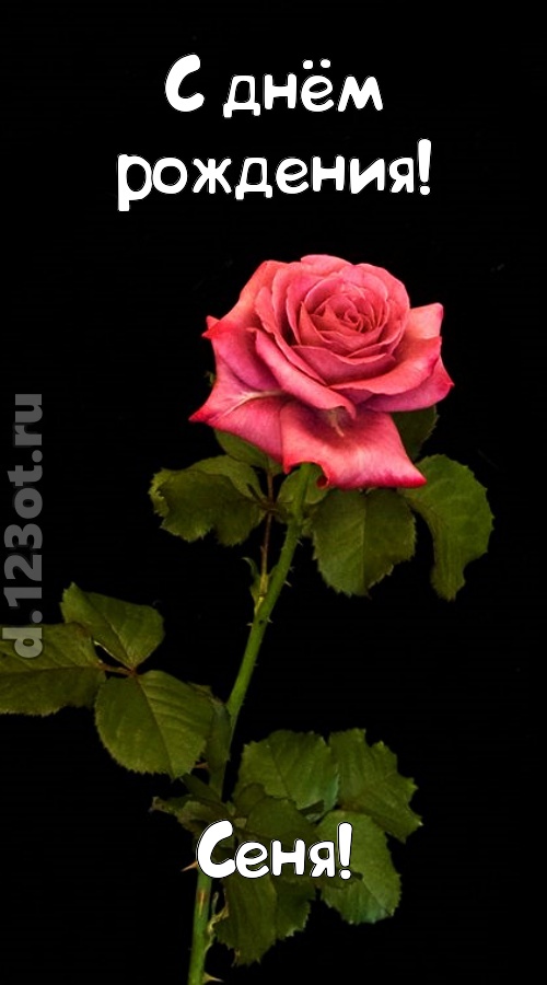 непредсказуемая открытка с днём рождения сеня, скачать онлайн бесплатно на iphone для вацап, поздравление сеня