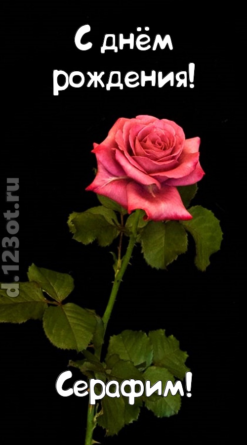 непредсказуемая открытка с днём рождения серафим, скачать онлайн бесплатно на iphone для вацап, поздравление серафим