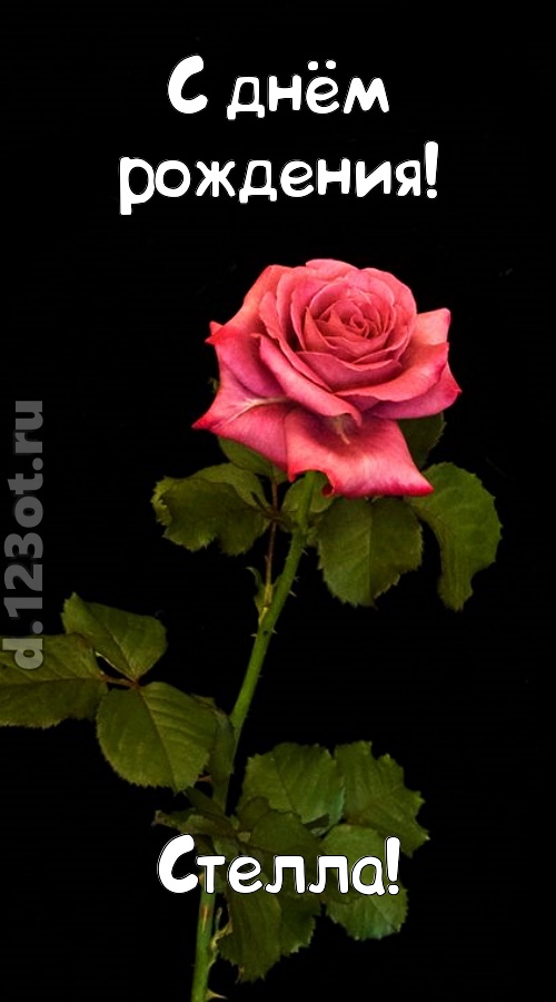 непредсказуемая открытка с днём рождения стелла, скачать онлайн бесплатно на iphone для вацап, поздравление стелла