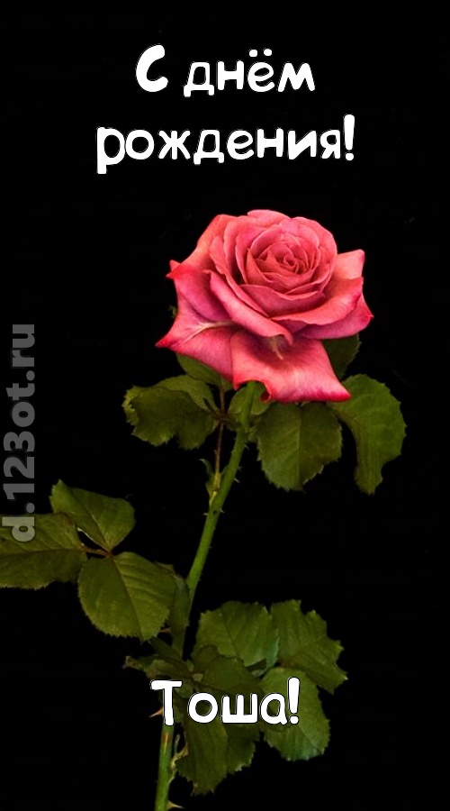 непредсказуемая открытка с днём рождения тоша, скачать онлайн бесплатно на iphone для вацап, поздравление тоша