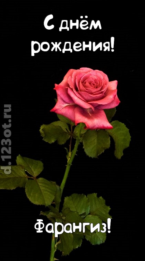 непредсказуемая открытка с днём рождения фарангиз, скачать онлайн бесплатно на iphone для вацап, поздравление фарангиз