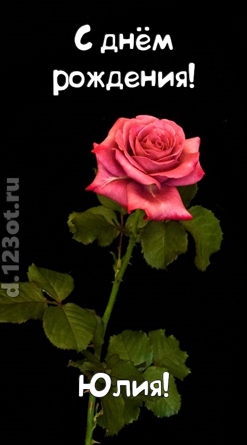 непредсказуемая открытка с днём рождения юлия, скачать онлайн бесплатно на iphone для вацап, поздравление юлия