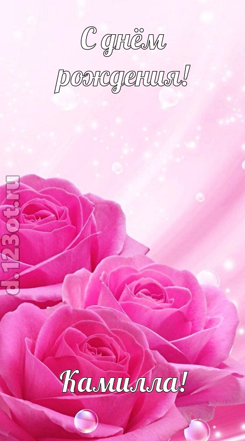 непринужденная открытка с днём рождения камилла, скачать онлайн бесплатно на iphone для вацап, поздравление камилла