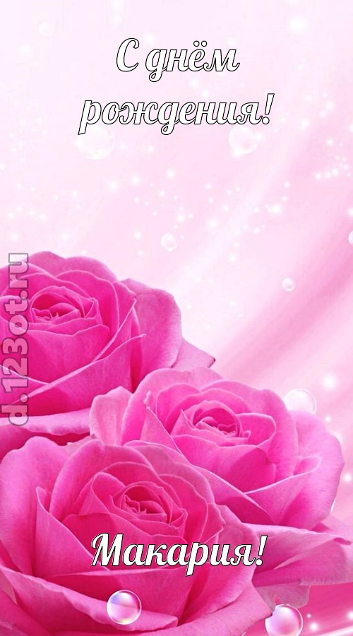 непринужденная открытка с днём рождения макария, скачать онлайн бесплатно на iphone для вацап, поздравление макария