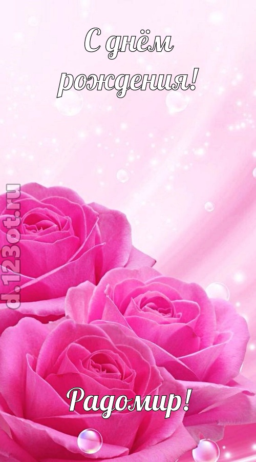 непринужденная открытка с днём рождения радомир, скачать онлайн бесплатно на iphone для вацап, поздравление радомир