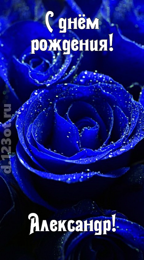 неуловимая открытка с днём рождения александр, скачать онлайн бесплатно на iphone для вацап, поздравление александр