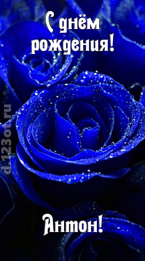 неуловимая открытка с днём рождения антон, скачать онлайн бесплатно на iphone для вацап, поздравление антон