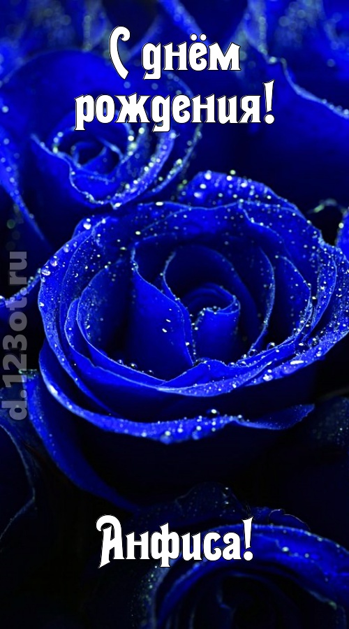 неуловимая открытка с днём рождения анфиса, скачать онлайн бесплатно на iphone для вацап, поздравление анфиса