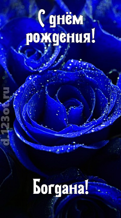 неуловимая открытка с днём рождения богдана, скачать онлайн бесплатно на iphone для вацап, поздравление богдана