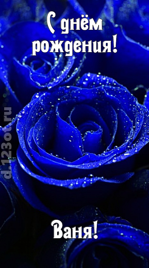 неуловимая открытка с днём рождения ваня, скачать онлайн бесплатно на iphone для вацап, поздравление ваня