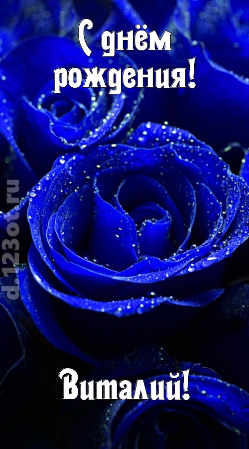 неуловимая открытка с днём рождения виталий, скачать онлайн бесплатно на iphone для вацап, поздравление виталий