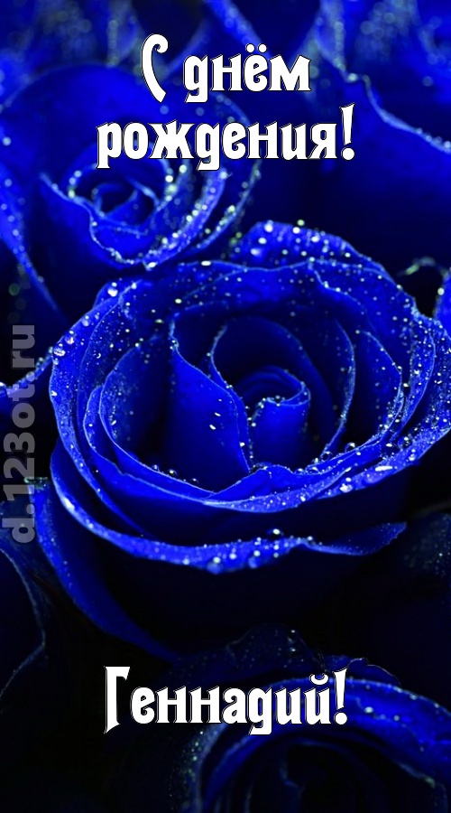 неуловимая открытка с днём рождения геннадий, скачать онлайн бесплатно на iphone для вацап, поздравление геннадий
