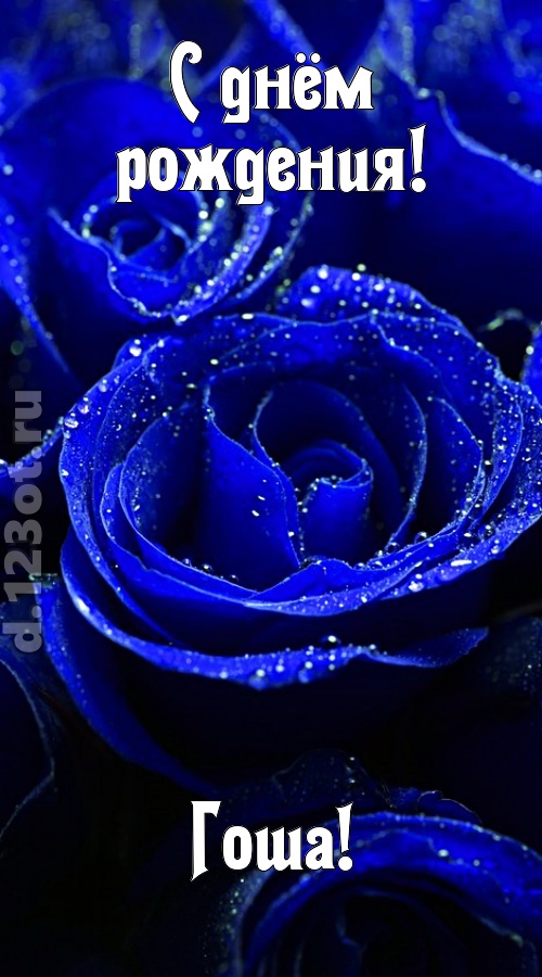 неуловимая открытка с днём рождения гоша, скачать онлайн бесплатно на iphone для вацап, поздравление гоша