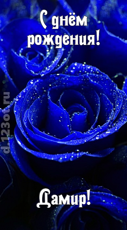 неуловимая открытка с днём рождения дамир, скачать онлайн бесплатно на iphone для вацап, поздравление дамир