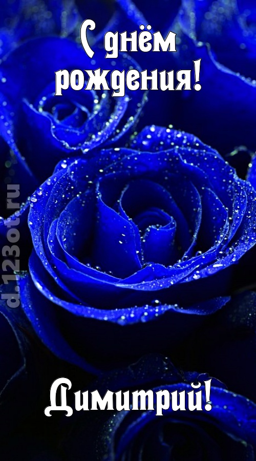 неуловимая открытка с днём рождения димитрий, скачать онлайн бесплатно на iphone для вацап, поздравление димитрий