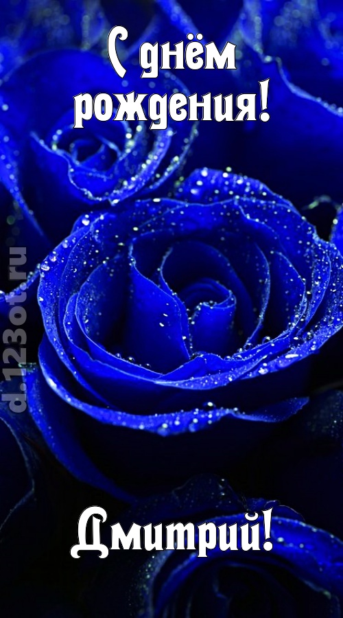 неуловимая открытка с днём рождения дмитрий, скачать онлайн бесплатно на iphone для вацап, поздравление дмитрий