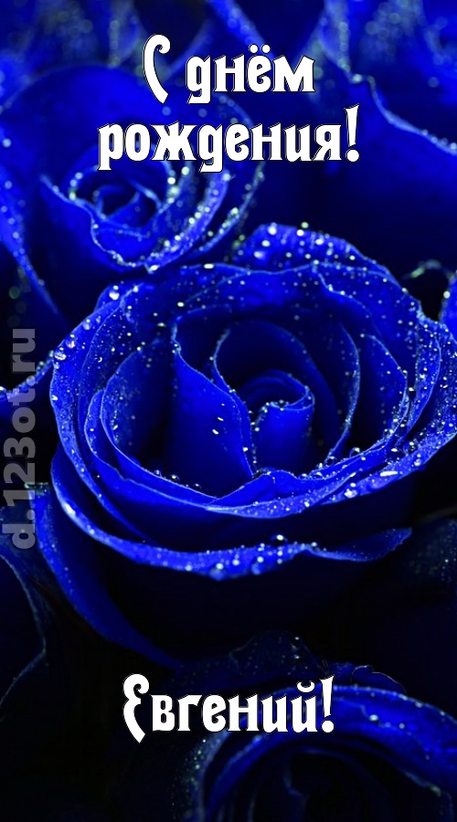 неуловимая открытка с днём рождения евгений, скачать онлайн бесплатно на iphone для вацап, поздравление евгений
