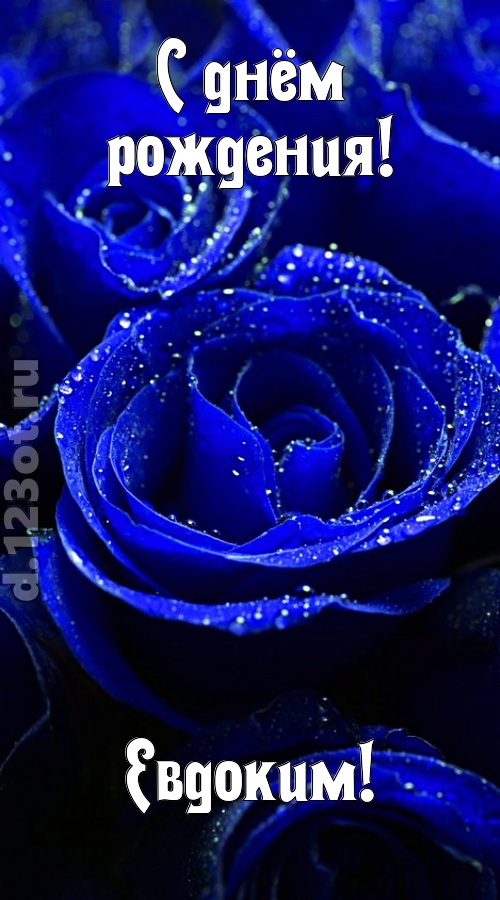 неуловимая открытка с днём рождения евдоким, скачать онлайн бесплатно на iphone для вацап, поздравление евдоким