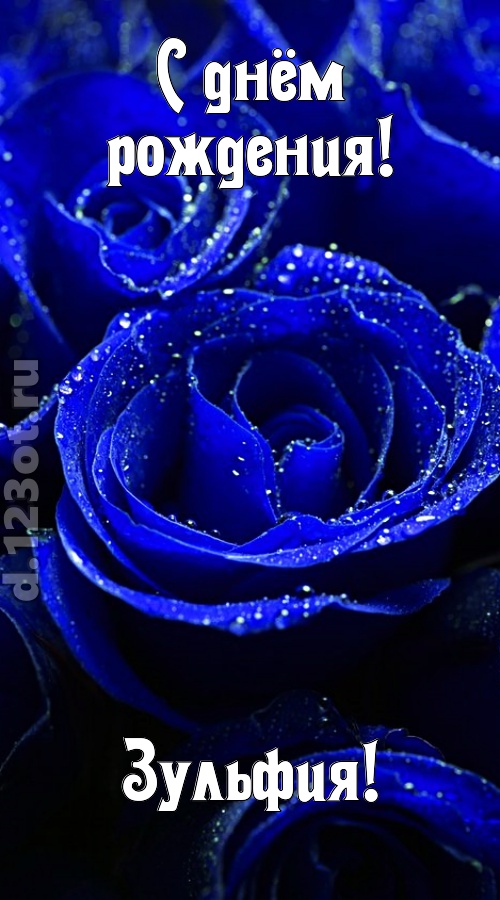 неуловимая открытка с днём рождения зульфия, скачать онлайн бесплатно на iphone для вацап, поздравление зульфия