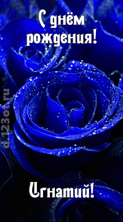 неуловимая открытка с днём рождения игнатий, скачать онлайн бесплатно на iphone для вацап, поздравление игнатий