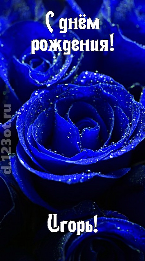 неуловимая открытка с днём рождения игорь, скачать онлайн бесплатно на iphone для вацап, поздравление игорь