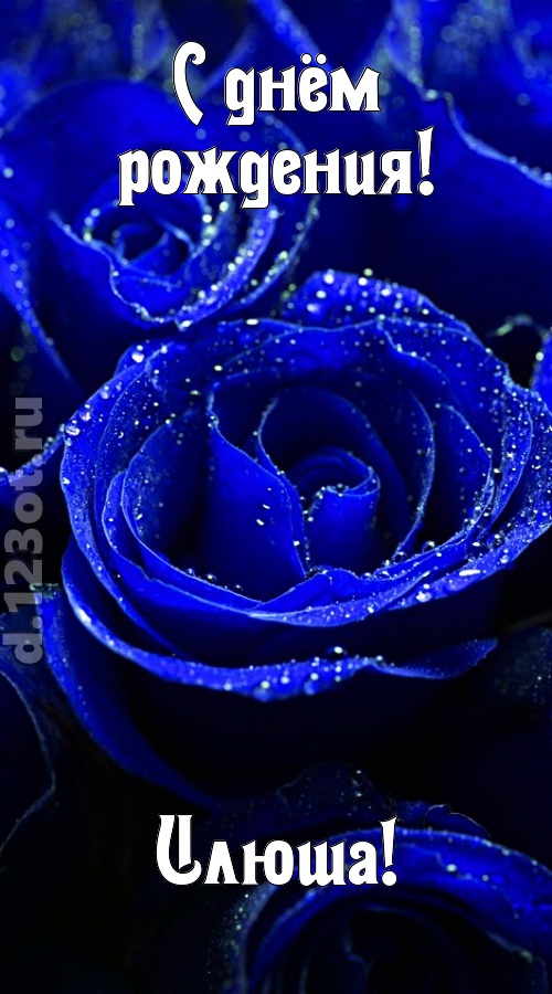 неуловимая открытка с днём рождения илюша, скачать онлайн бесплатно на iphone для вацап, поздравление илюша