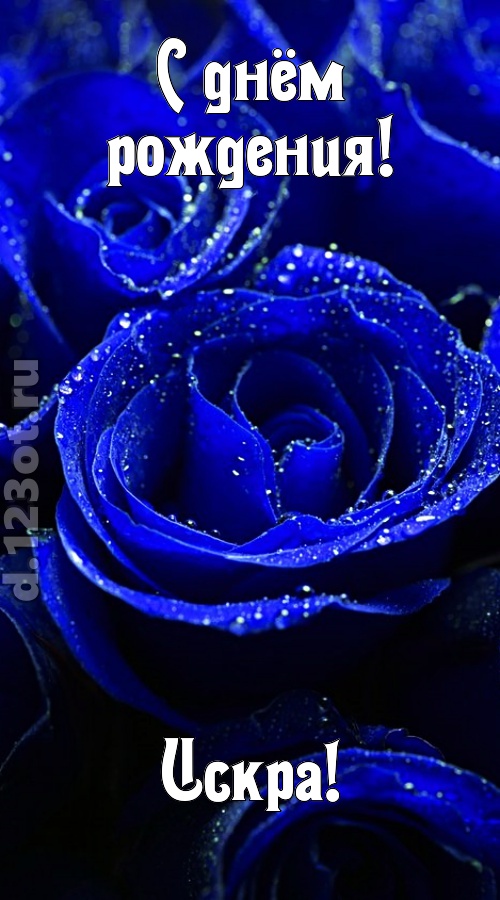 неуловимая открытка с днём рождения искра, скачать онлайн бесплатно на iphone для вацап, поздравление искра