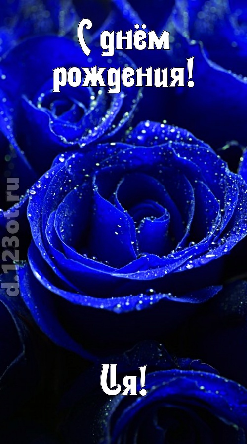 неуловимая открытка с днём рождения ия, скачать онлайн бесплатно на iphone для вацап, поздравление ия