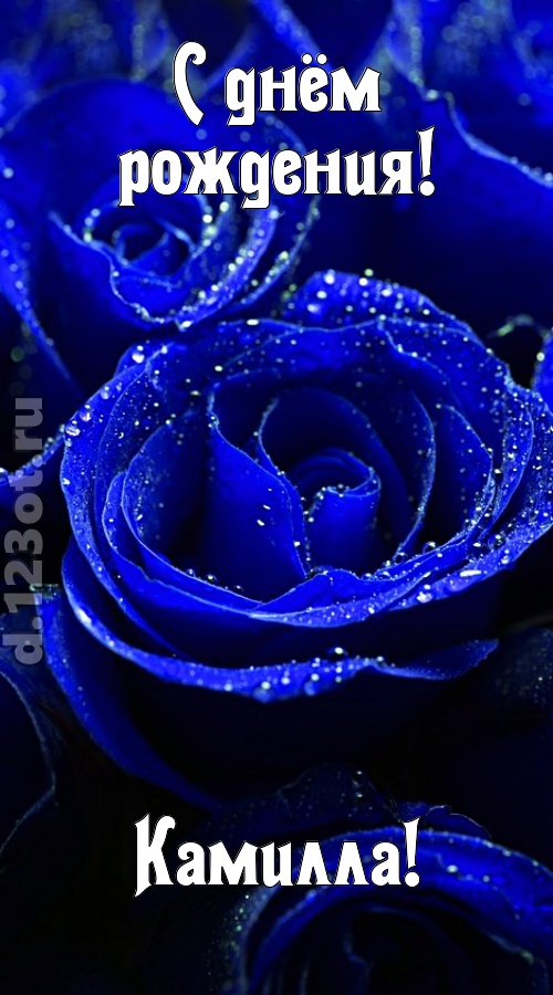 неуловимая открытка с днём рождения камилла, скачать онлайн бесплатно на iphone для вацап, поздравление камилла